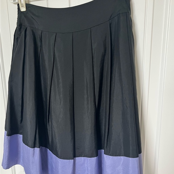 Black Box Pleats Silk Skirt from Express Design Studio - Picture 4 of 4